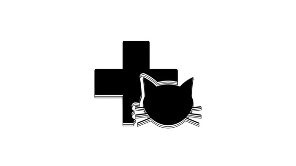 Black Veterinary Clinic Symbol Ikona Izolované Bílém Pozadí Kříž Kočičí — Stock video