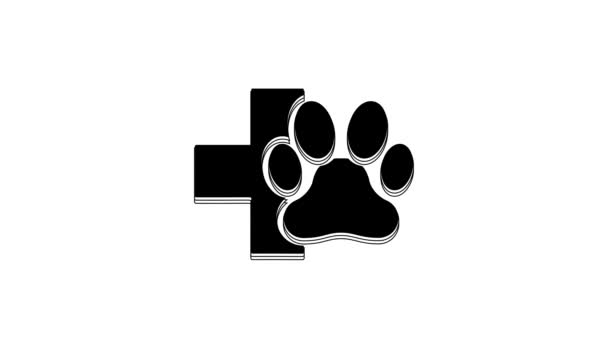 Black Veterinary Clinic Symbol Icon Isolated White Background Cross Hospital — Stock Video