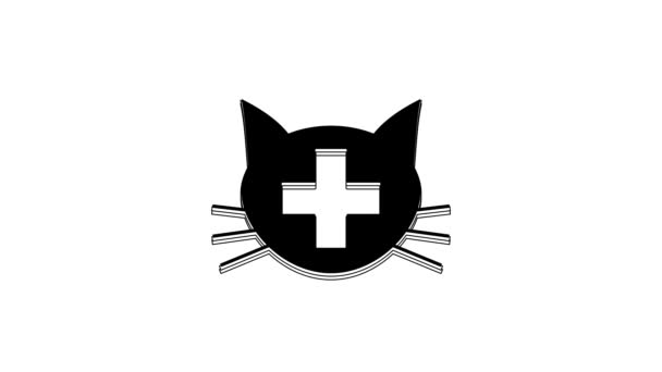Czarna Ikona Symbolu Kliniki Weterynaryjnej Izolowana Białym Tle Skrzyżuj Kocią — Wideo stockowe