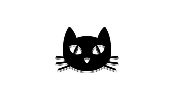 Icono Gato Negro Aislado Sobre Fondo Blanco Animación Gráfica Vídeo — Vídeos de Stock