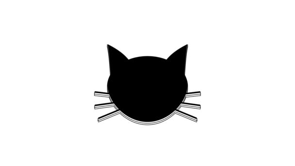 Ікона Чорної Кішки Ізольована Білому Тлі Відеографічна Анімація — стокове відео