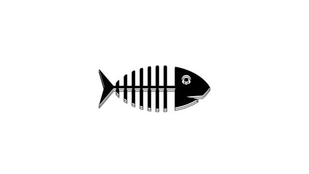 Black Fish Skelett Symbol Isoliert Auf Weißem Hintergrund Fischgrätenzeichen Video — Stockvideo