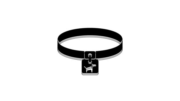 Black Dog Collar Name Tag Icon Isolated White Background Simple — Vídeo de Stock