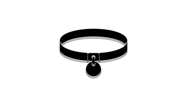 Zwarte Halsband Met Naamplaatje Pictogram Geïsoleerd Witte Achtergrond Eenvoudige Leveringen — Stockvideo