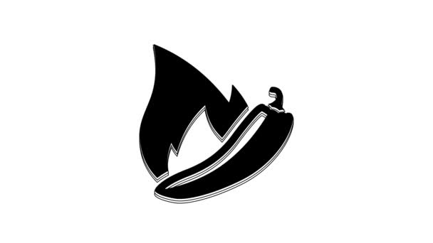 Black Hot Chili Pepper Pod Icon Isolated White Background Design — ストック動画