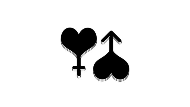 Black Male Female Symbol Heart Icon Isolated White Background Gender — Video Stock