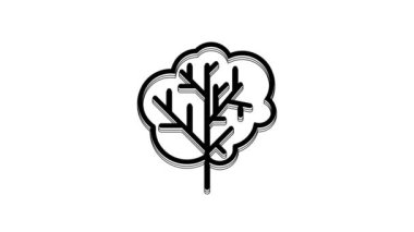 Siyah ağaç simgesi beyaz arkaplanda izole edildi. Orman sembolü. 4K Video hareketli grafik canlandırması.