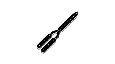 Beyaz arkaplanda izole edilmiş simgeyi budamak için siyah bahçe makası. Ahşap saplı budama makası. 4K Video hareketli grafik canlandırması.