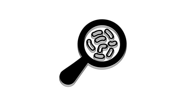 Black Microorganisms Magnifier Icon Isolated White Background Bacteria Germs Cell — Stock Video