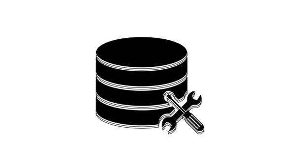Black Database Server Screwdriver Wrench Icon Isolated White Background Adjusting — Stock Video