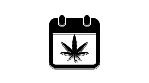 Black Calendar Marijuana Cannabis Leaf Icon Isolated White Background National — ストック動画