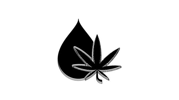 Black Medical Marijuana Cannabis Leaf Olive Oil Drop Icon Isolated — Stock videók