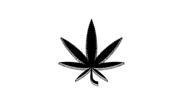 Black Medical Marijuana Cannabis Leaf Icon Isolated White Background Hemp — Stockvideo