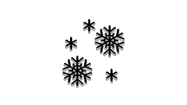 Black Snow Icon Isolated White Background Video Motion Graphic Animation — 图库视频影像