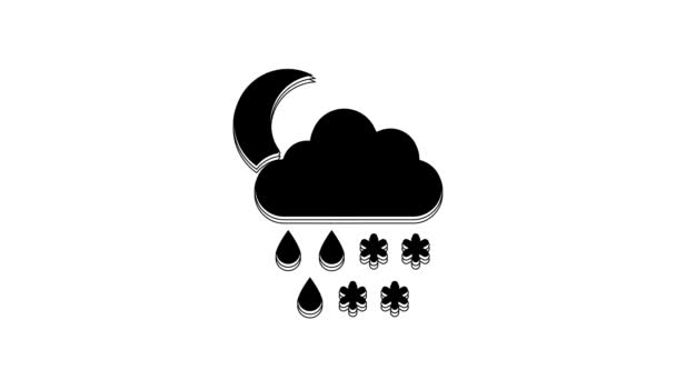 Black Cloud Snow Rain Moon Icon Isolated White Background Weather — Wideo stockowe