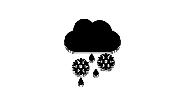 Μαύρο Σύννεφο Χιόνι Και Βροχή Εικονίδιο Απομονώνονται Λευκό Φόντο Εικονίδιο — Αρχείο Βίντεο