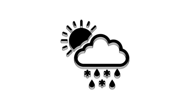 Black Cloud Snow Rain Sun Icon Isolated White Background Weather — Stockvideo