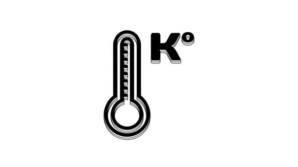 Черный Метеорологический Термометр Измеряющий Тепло Холодную Иконку Белом Фоне Температура — стоковое видео