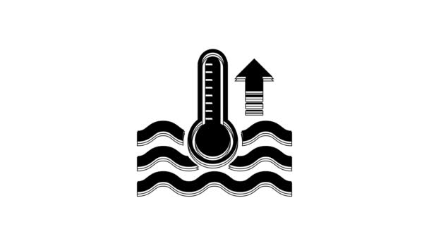 Black Water Thermometer Measuring Heat Cold Icon Isolated White Background — ストック動画
