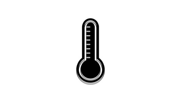 Termometro Meteorologia Nera Che Misura Calore Icona Freddo Isolata Sfondo — Video Stock