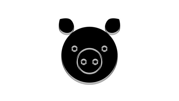 Black Pig Zodiac Sign Icon Isolated White Background Astrological Horoscope — 비디오