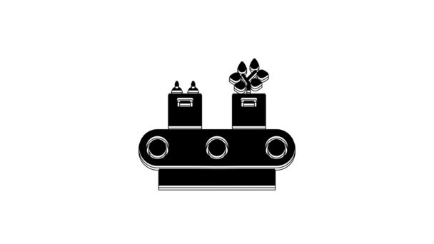 白の背景に隔離された段ボール箱のアイコンとブラックコンベアベルト 4Kビデオモーショングラフィックアニメーション — ストック動画