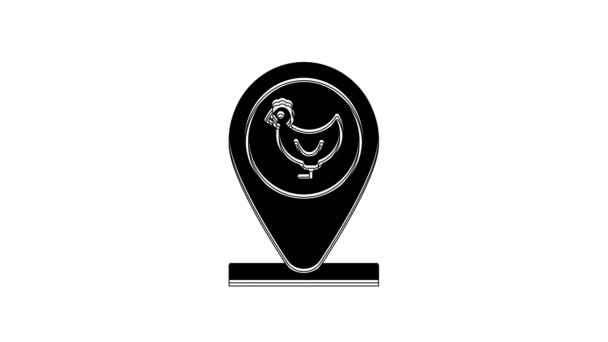 Black Chicken Farm Location Icon Isolated White Background Video Motion — 图库视频影像