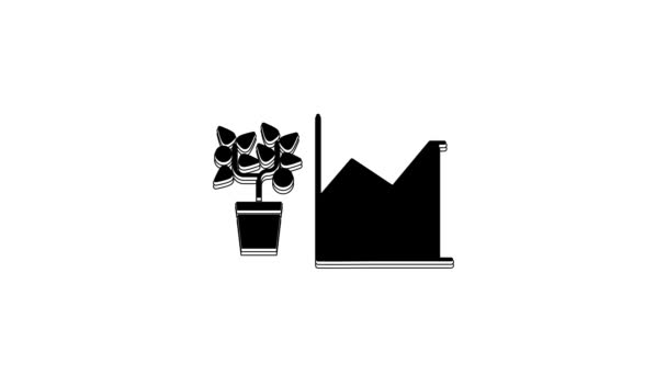 Icono Estadísticas Flor Negra Aislado Sobre Fondo Blanco Animación Gráfica — Vídeos de Stock