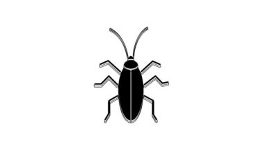 Siyah Hamamböceği simgesi beyaz arkaplanda izole edilmiş. 4K Video hareketli grafik canlandırması.