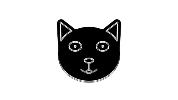 Black Pet Icon Isolated White Background Video Motion Graphic Animation — Vídeos de Stock