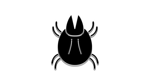 Black Parasite Mite Icon Isolated White Background Video Motion Graphic — ストック動画