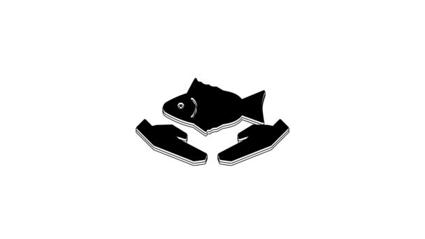 Black Fish Care Icon Isolated White Background Video Motion Graphic — стоковое видео