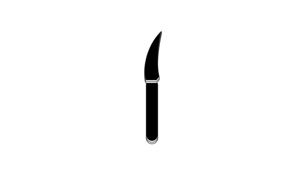 Ikona Black Knife Izolovaná Bílém Pozadí Symbol Příboru Grafická Animace — Stock video