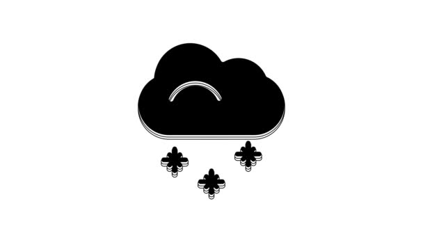 Μαύρο Σύννεφο Εικονίδιο Χιονιού Απομονωμένο Λευκό Φόντο Σύννεφο Νιφάδες Χιονιού — Αρχείο Βίντεο