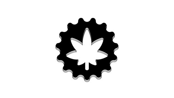 Černá Lékařská Marihuana Nebo Konopný List Ikona Izolované Bílém Pozadí — Stock video