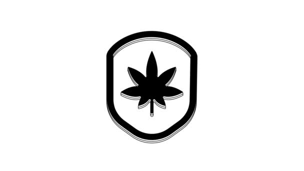 黑盾和大麻或大麻叶图标分离的白色背景 大麻合法化 大麻的符号 4K视频运动图形动画 — 图库视频影像
