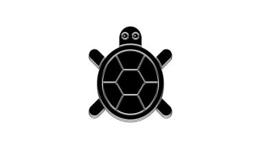 Siyah kaplumbağa simgesi beyaz arkaplanda izole edilmiş. 4K Video hareketli grafik canlandırması.
