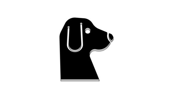 Icono Perro Negro Aislado Sobre Fondo Blanco Animación Gráfica Vídeo — Vídeos de Stock