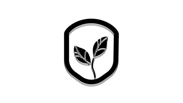 Black Shield Leaf Icon Isolated White Background Eco Friendly Security — ストック動画