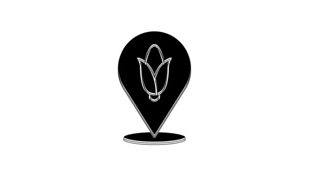 Black Location Corn Icon Isolated White Background Video Motion Graphic — Stockvideo