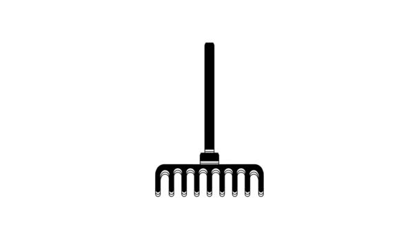 Black Garden Rake Icon Isolated White Background Tool Horticulture Agriculture — Vídeo de Stock