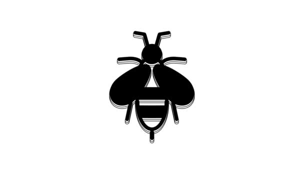 Ikona Czarnej Pszczoły Białym Tle Słodkie Naturalne Jedzenie Pszczoła Miodna — Wideo stockowe