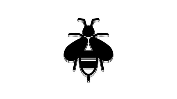 Black Bee icon isolated on white background. Sweet natural food. Honeybee or apis with wings symbol. Flying insect. 4K Video motion graphic animation.