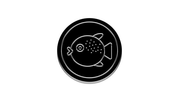 在白色背景上隔离的盘子图标上的黑河豚 福谷鱼 日本河豚 4K视频运动图形动画 — 图库视频影像