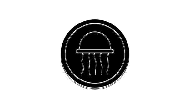 Black Jellyfish Plate Icon Isolated White Background Video Motion Graphic — Vídeo de stock