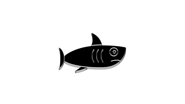 Μαύρο Εικονίδιο Καρχαρία Απομονώνεται Λευκό Φόντο Γραφική Κίνηση Κίνησης Βίντεο — Αρχείο Βίντεο