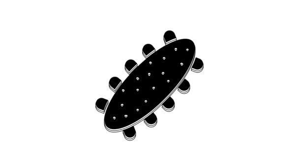 Black Sea Cucumber Icon Isolated White Background Marine Food Video — Stock video