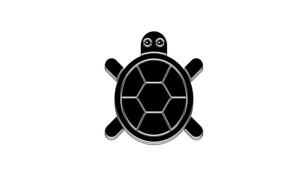 Svart Sköldpadda Ikon Isolerad Vit Bakgrund Video Motion Grafisk Animation — Stockvideo