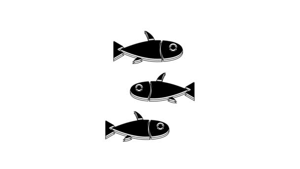 Czarny Ryby Ikona Izolowana Białym Tle Animacja Graficzna Ruchu Wideo — Wideo stockowe