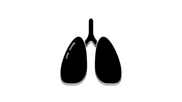 Czarna Ikona Płuc Izolowana Białym Tle Animacja Graficzna Ruchu Wideo — Wideo stockowe